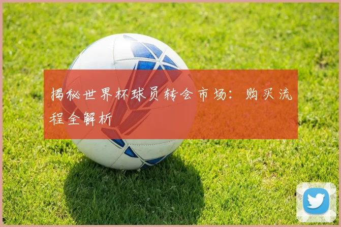 揭秘世界杯球员转会市场：购买流程全解析