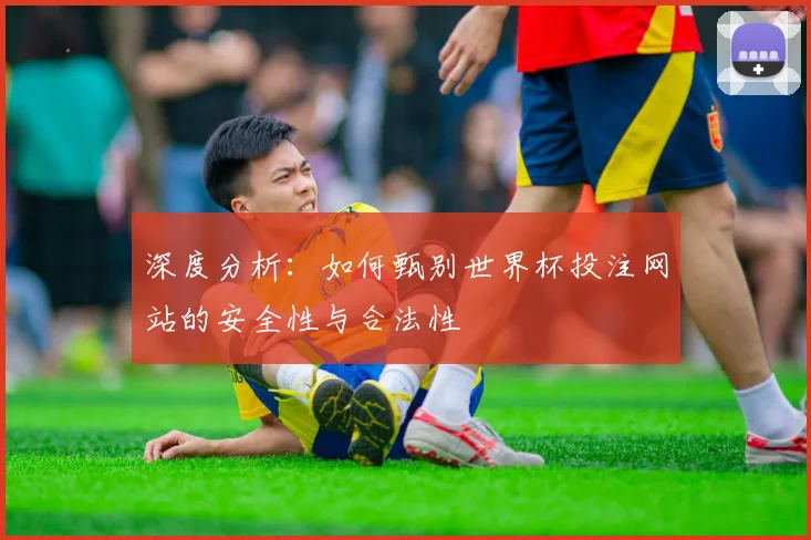 深度分析：如何甄别世界杯投注网站的安全性与合法性